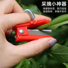 摘採小押刃親指刀ブドウのつまみ先キュウリ野菜の葉摘採器小押刃摘採小刀