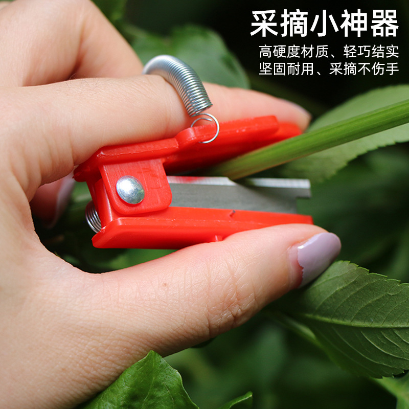 摘採小押刃親指刀ブドウのつまみ先キュウリ野菜の葉摘採器小押刃摘採小刀|undefined