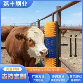 工具刷;汽车清洁工具;清洁球/刷