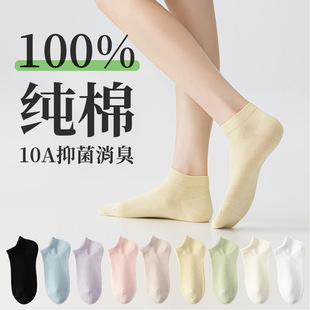 �m��Ů���ļ�����100%���޶��m2026�¿�10A�����W��͸�����촬�m
