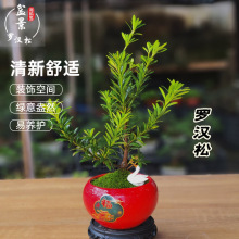 ʽU_h辰ļGֲtѿ҃kҺB͏dt