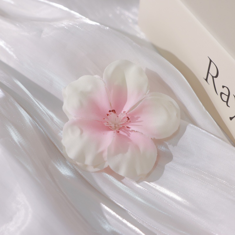 흰색 분홍색 벚꽃