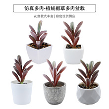 现货仿真多肉植绒椒草盆栽桌面摆件礼品迷你绿植盆景TEMU仿真植物
