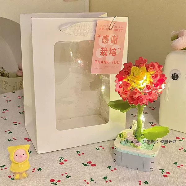 Aster flower + light + gift bag = greeting card
