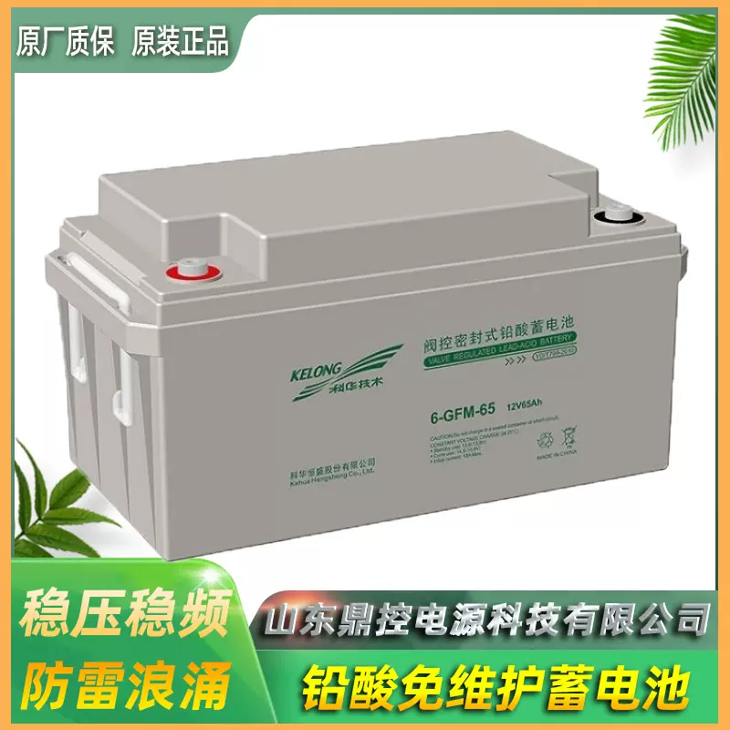 科华GFM-100铅酸蓄电池2V100AH免维护UPS不间断电源用蓄电池