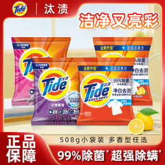タイド 正規品 ホワイトニング ラベンダー ディープクレンジング 汚れ落とし 洗濯洗剤 508g 小袋 香り長持ち 洗濯機 手洗い