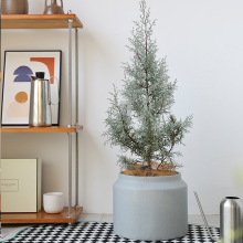 ���W���s���ˮ�໨�脓��Ҿ����Ԃ������ɿ͏d�҃ȴ��z��������