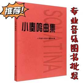 小奏鸣曲集 钢琴红皮书 初学入门钢琴教材 钢琴基础教程