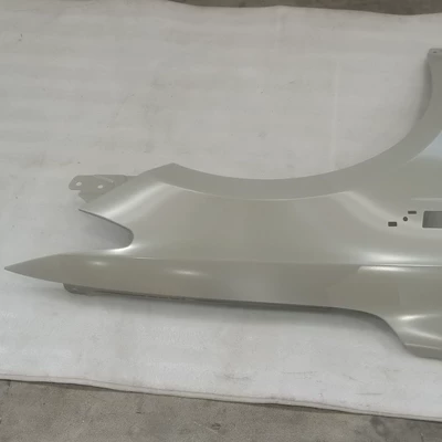 Fender fender wing