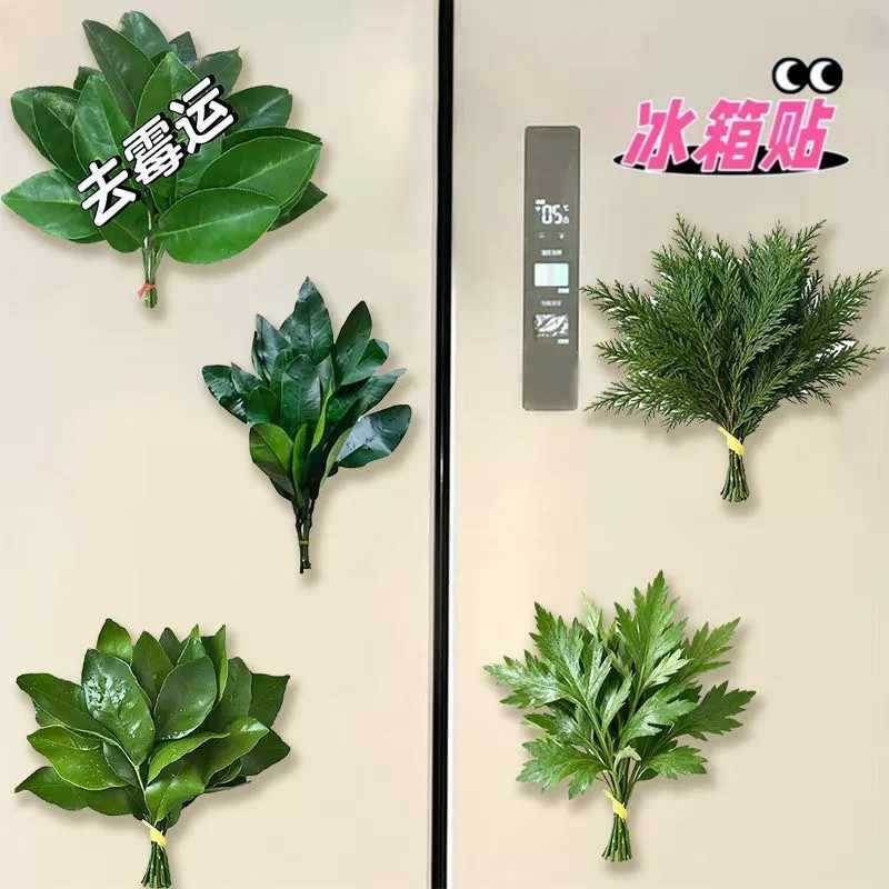 Grapefruit Leaves to Remove Bad Luck Refrigerator Magnets to Transfer Lucky Acrylic Creative Niche Funny Gifts Refrigerator Decorations Grapefruit Leaves to Remove Bad Luck Refrigerator Magnets to Transfer Lucky Acrylic Creative Niche Funny Gifts Refrigerator Decorations
