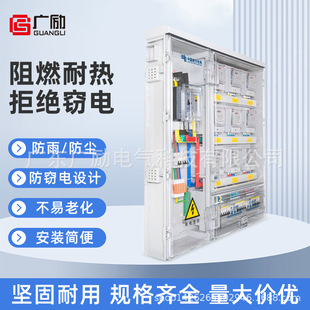 Customized China Southern Power Grid 21 Fee-Controlled Single-Phase 9-Digit Meter Plastic Meter Box Transparent Distribution Box Power Metering Box