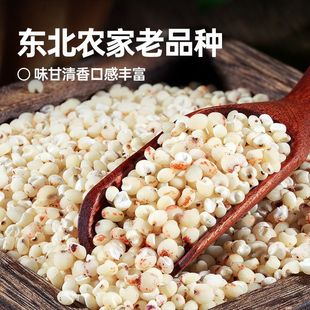 �|������������500g�׸����׽����ּZ�r������s�Z�¼Z���l���l