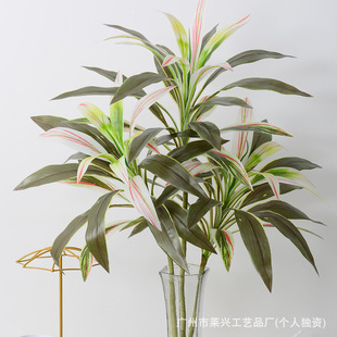 ���Z�q����Gֲ����ľ���Ԕ[��ֲ��͏d�٘��辰��Ѫ�F���c�b�