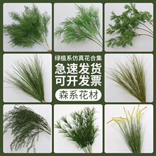 �Gɫ���Gֲɭϵ�bGֲ�~�ӻ�c���Ļ�ˇ���߼ٻ��٘��~