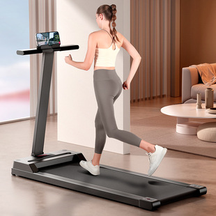 Treadmill Home Small Walking Walking Machine Gym Indoor 2023 New Family Foldable Silent and Silent