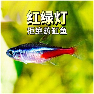 �t�G��ɏ���޺����ˮ�ݸ�С��Ⱥ�ΟᎧ�^�p�����~�޺�tɏ���~