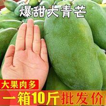 芒果应季水果当季金煌芒10斤香甜多汁新鲜现摘薄皮凯特芒大青芒果