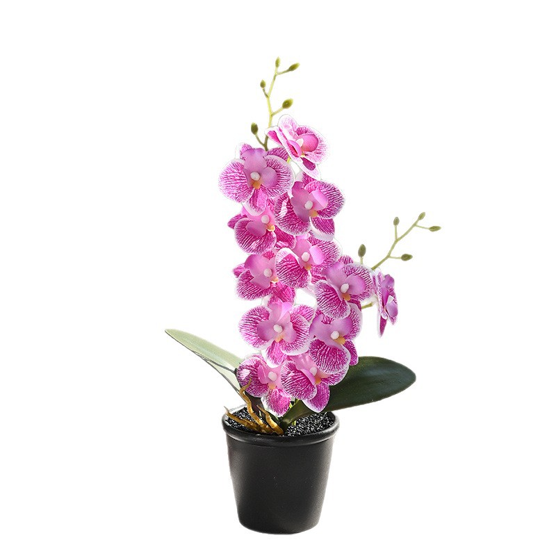 12 flores Phalaenopsis planta en maceta flor de simulación creativa decoración de estudio fotográfico para el hogar decoración planta verde artificial simulación planta en maceta