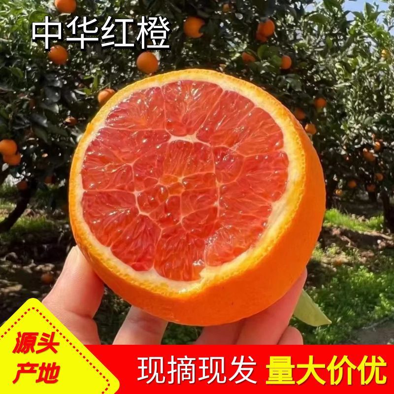 中华红橙子整箱红橙应季新鲜红心红肉脐橙现摘现发香甜水果批发