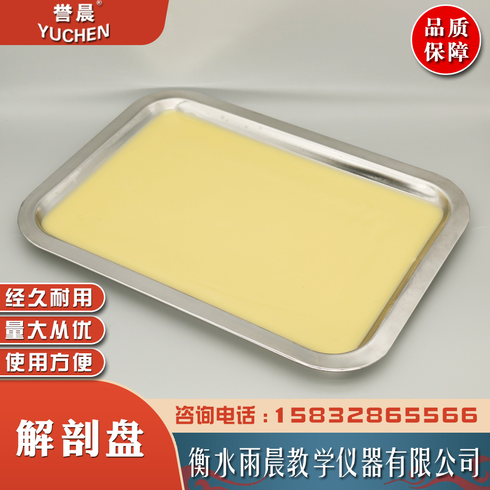 27003解剖盘蜡盘专业教具教学仪器实验室器材耗材用具量大从优