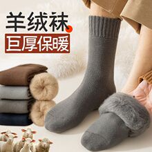 ������q�m�����ﶬ���Ӻ���Ͳ�ӽq��ů�LͲ�m�����������m�ذ��m