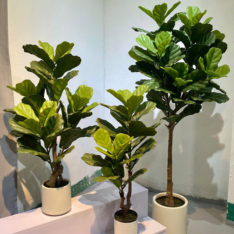仿真绿植琴叶榕落地盆栽·室内大型摆件装饰仿真植物假树|undefined