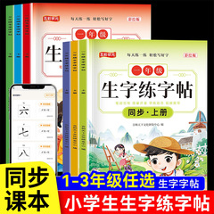 一二三年级上下册语文同步生字练字帖小学生硬笔书法每日一练书籍