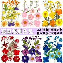 干花押花真花植物标本手工压花书签滴胶手机壳材料包批发12朵组合