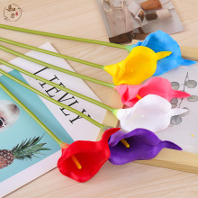 滨PURɏٻ滨羳QҾӿ͏dbzӰl