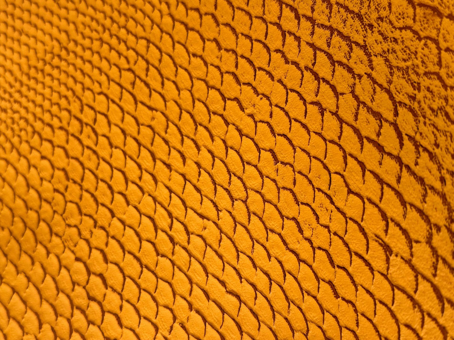 cf316b7b17ec0f93f7adfb237331d0