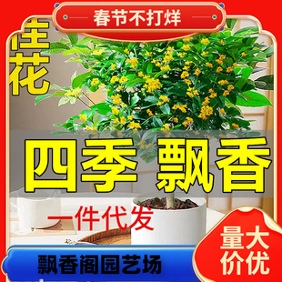 һl𻨘Խļ𵤹𻨻ֲ҃ͥԺ