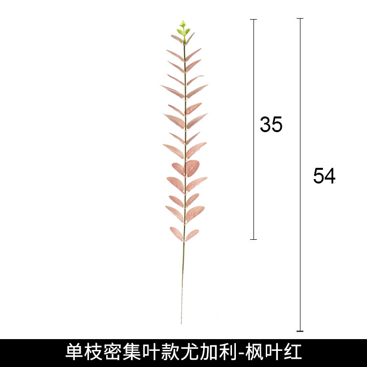 싱글 메이플 레드 고밀도 유칼립투스