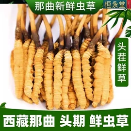 参类滋补品;燕窝;其他滋补