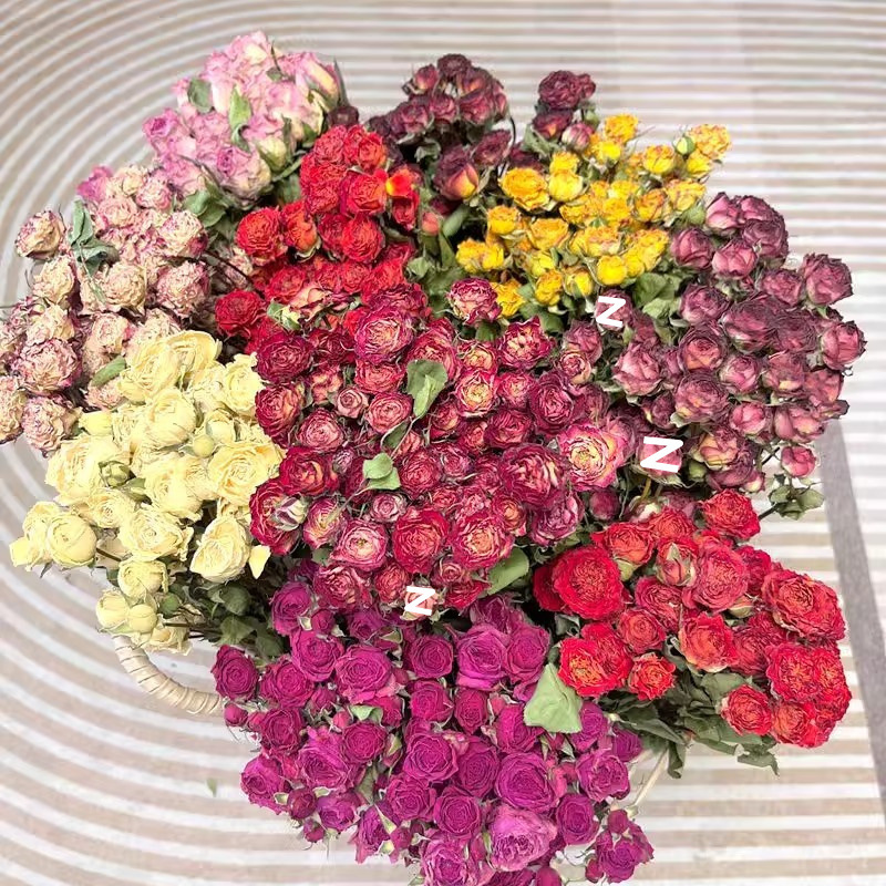 fd39fb91-7a13-41b5-a7f5-b2553c7e5ae3.jpe