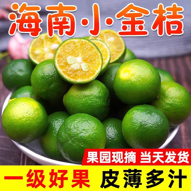 Hainan Small Green Oranges, Kumquats, Fresh Green Lemons, Thin-Skinned Juicy Fruits with Free Shipping 2.5kg Mini Kumquats Hainan Small Green Oranges, Kumquats, Fresh Green Lemons, Thin-Skinned Juicy Fruits with Free Shipping 2.5kg Mini Kumquats
