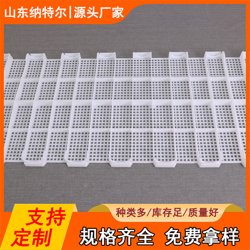 鸡粪漏粪板鸭鹅漏粪网鸡舍漏屎地板养鸡用塑料家禽小鸡鸽子漏粪板