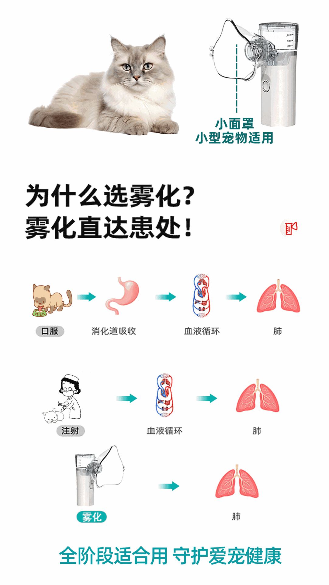 详情页_02.gif
