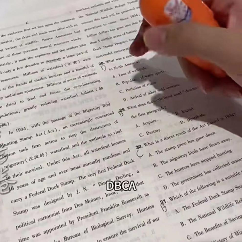 f0217918-9293-4260-ae59-2e14c40b7c05.jpe