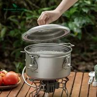 Микрорапсовая кастрюля Biwei из чистого титана, уличная кастрюля для кемпинга, кастрюля для супа, рисоварка для тушения, большая вместимость, подходит для 4-6 человек