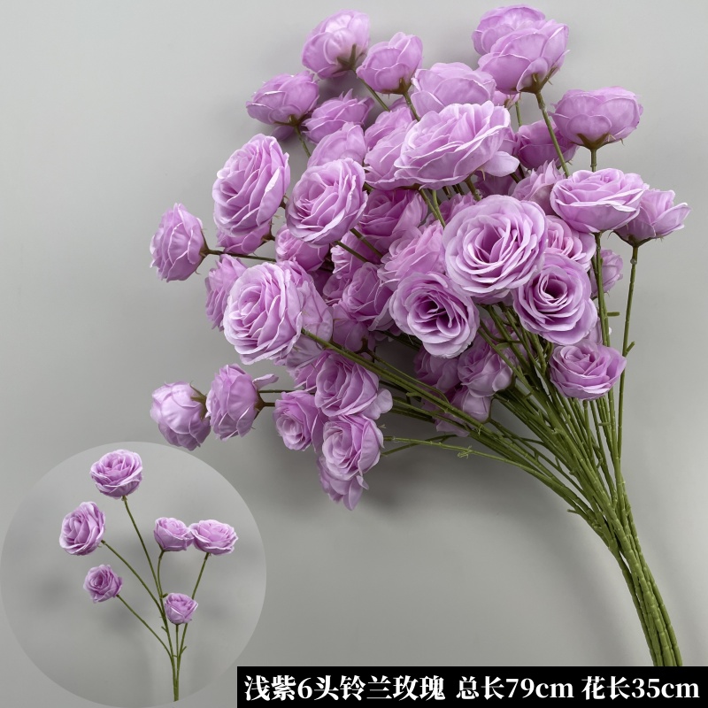 초콜릿 라이트 퍼플 6개의 절묘한 장미