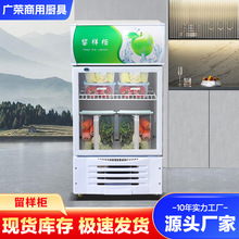 學校酒店專用留樣冰櫃商用冰箱小型帶鎖冷凍櫃保鮮食品冷藏展示櫃