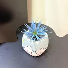 �{�՚��P��o��ֲ�﹤λС�[���k���҃�����͏d�Gֲ��������