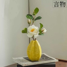 ���Wins���һ�ƿ�մ�ˮ�����Ͳ廨��������ˇ�gˮ�໨ƿ�[���b�