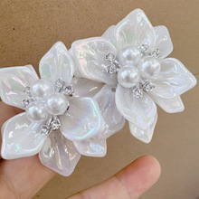 ��ʽС���L�����荗d�ӻ�����p�݄e�¸��Ś��|��߼��r�ж��h