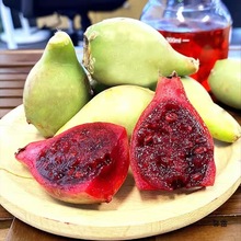 海南野生仙人掌果仙桃新鲜现摘应当季热带水果稀奇古怪没吃过水果