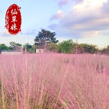 ���ع�����ѿ����y�Ӳ� �������^�p�ݾW�t�ݷ���y�Ӳݻ�������