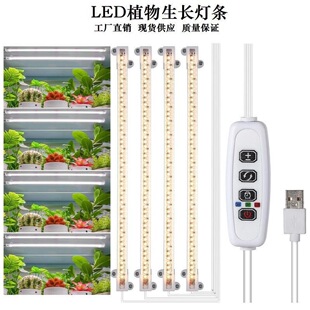 LEDֲ�����L���a���USB���r�����{��̫ꖹ�ȫ���V����ֲ����l�S