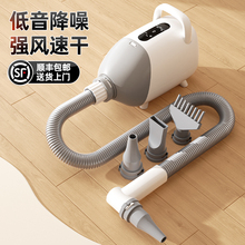 宠物吹水机狗狗家用吹干毛猫咪烘干机大型犬用静音洗澡吹风神器