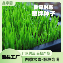 �S�Ҷ�Ʒ�NͥԺ�G�����޼��ļ����G�Ͳ��ͺ��ͺ��ļ����ƺ�N��