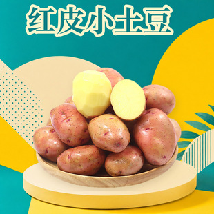 ��ϼtƤ��ŴС���� ���l3/5/9���S����Ŵ���������߲����rˮ��